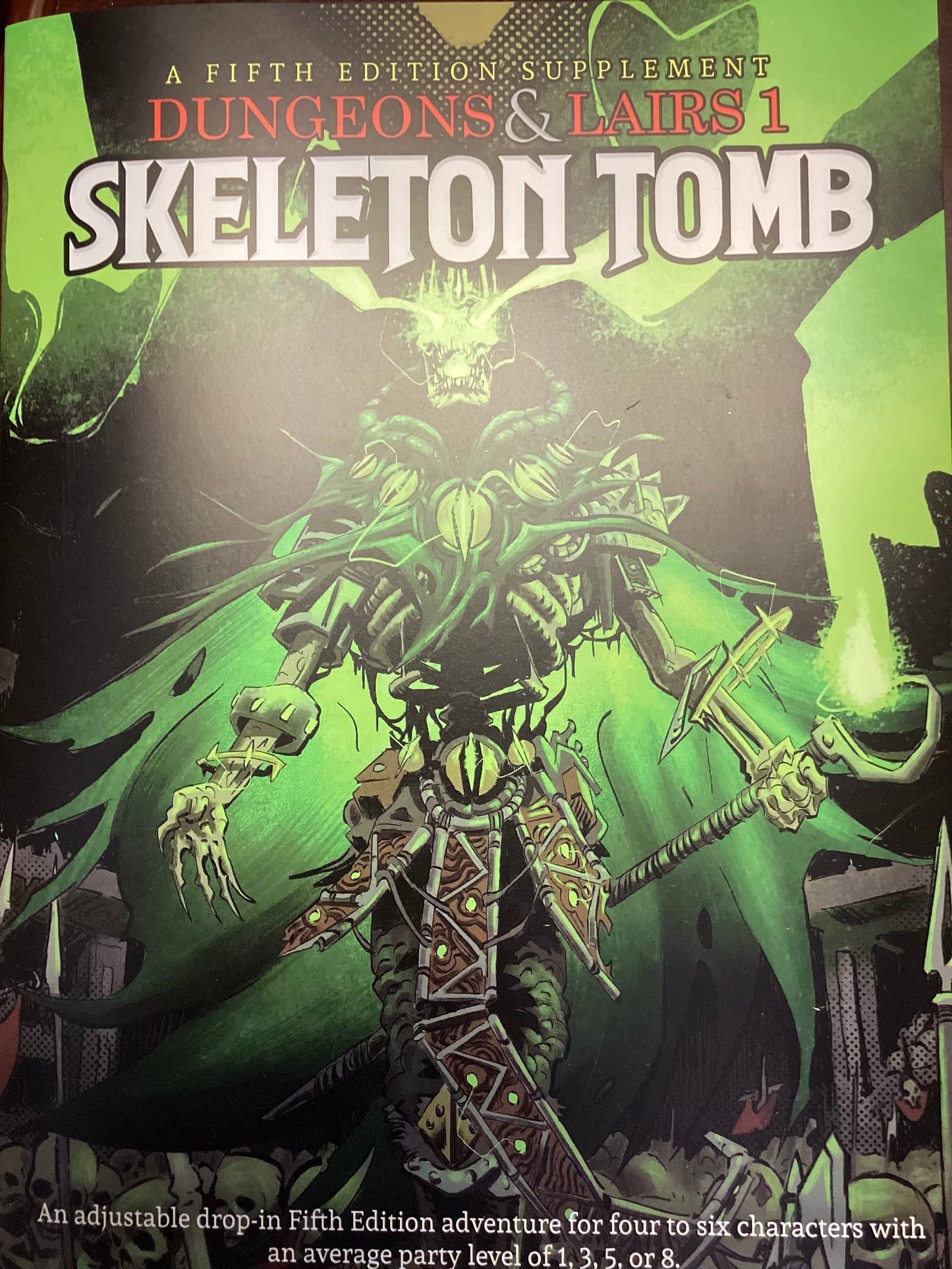 Dungeons & Lairs 1: Skeleton Tomb (Larger size)