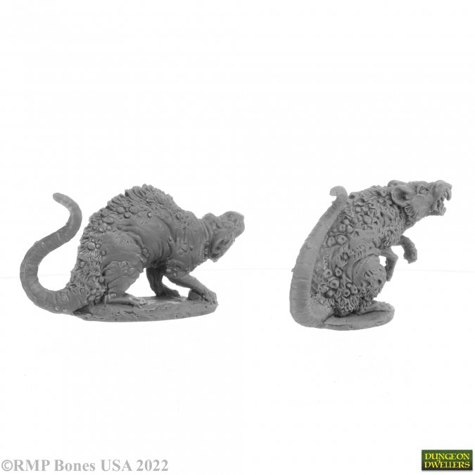 BARROW RATS (2) (77198)