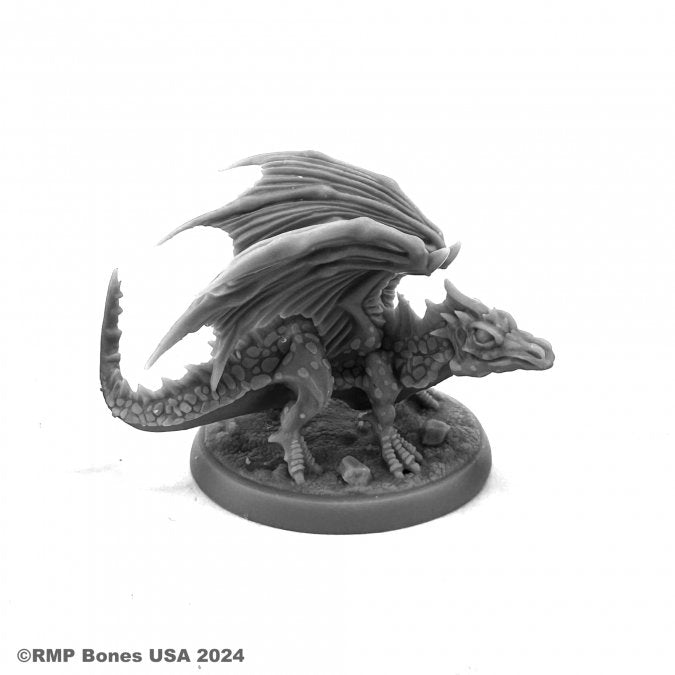 HISS, YOUNG DRAGON