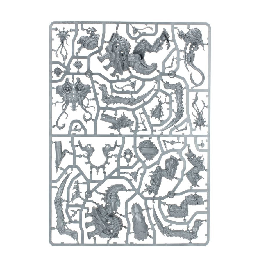 Tyranids: Horrors of the Hive