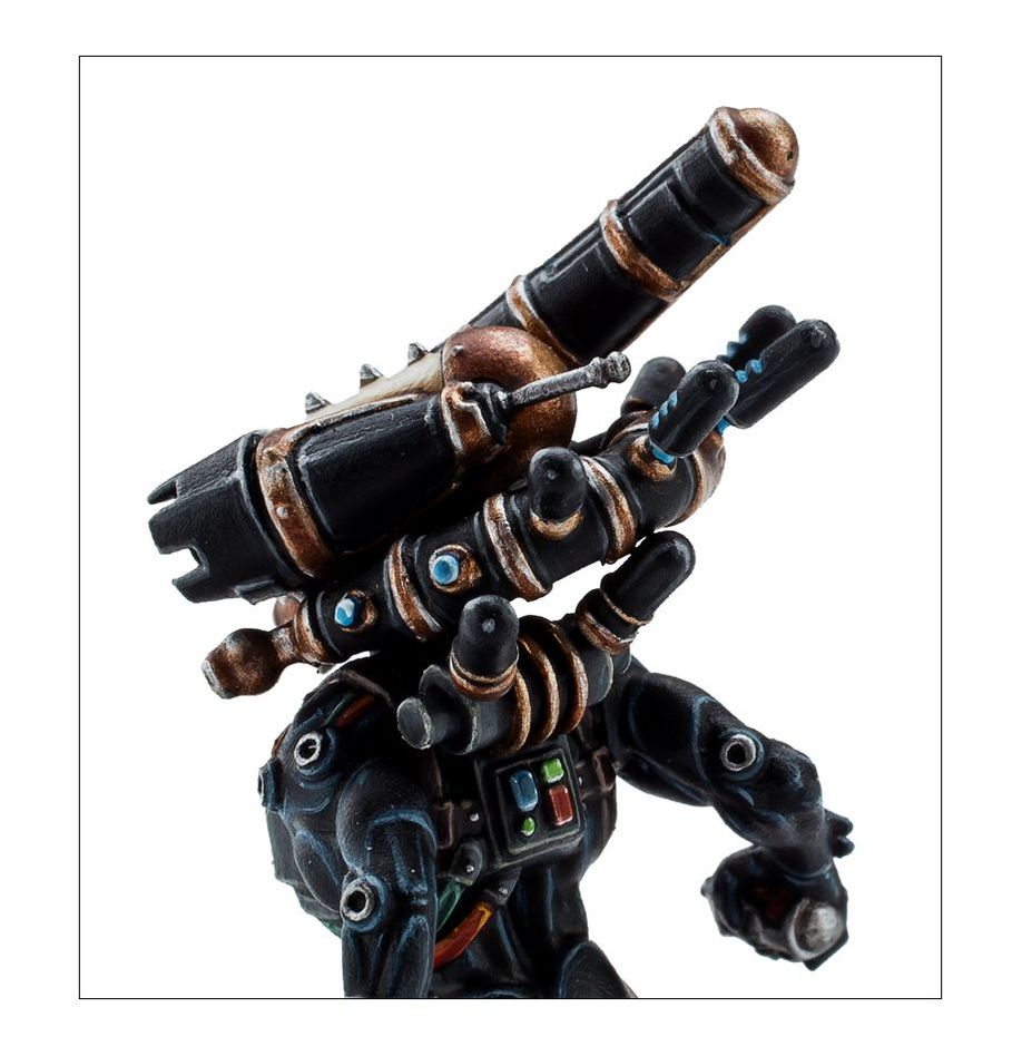 OFFICIO ASSASSINORUM CULEXUS ASSASSIN