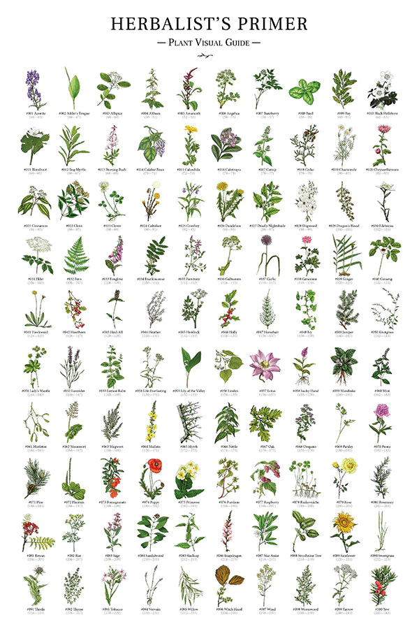 Herbalist's Poster