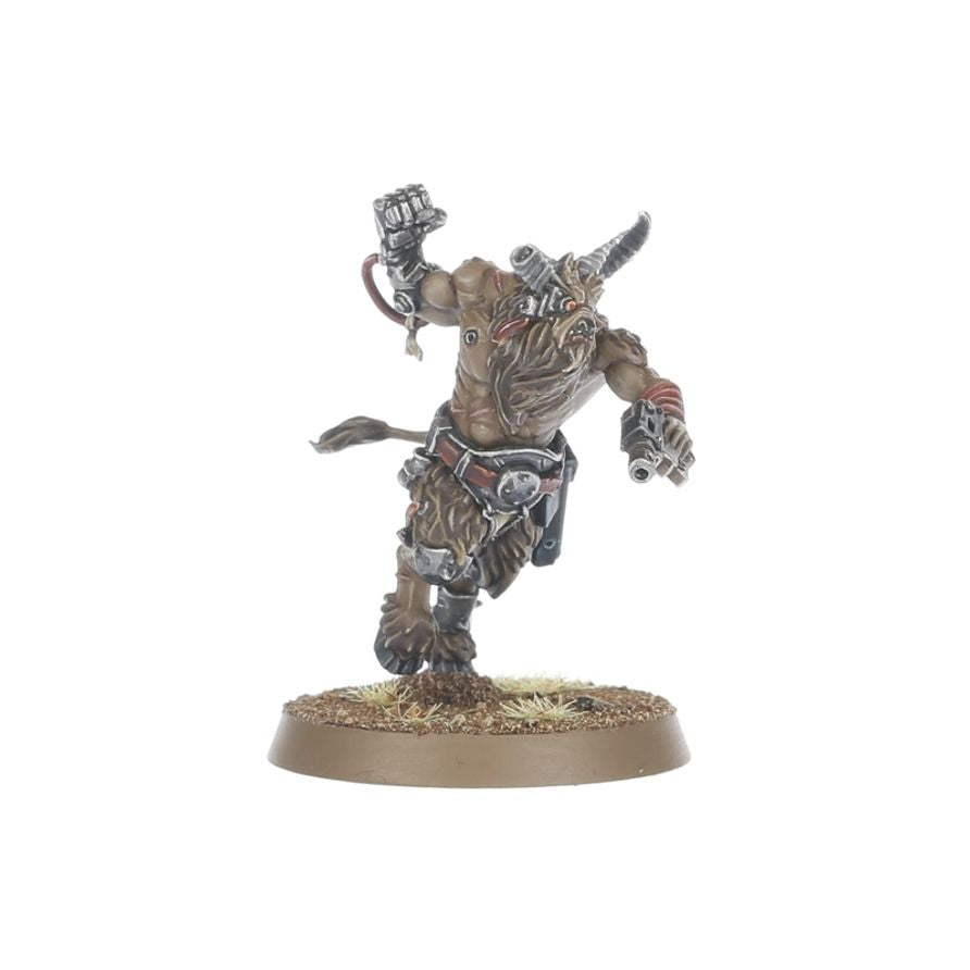 Chaos Space Marines: Fellgor Beastmen
