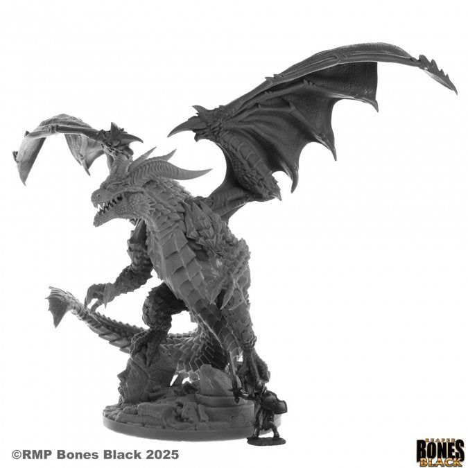 CHAARONDAR THE CRUEL BONES BLACK BOXED SET