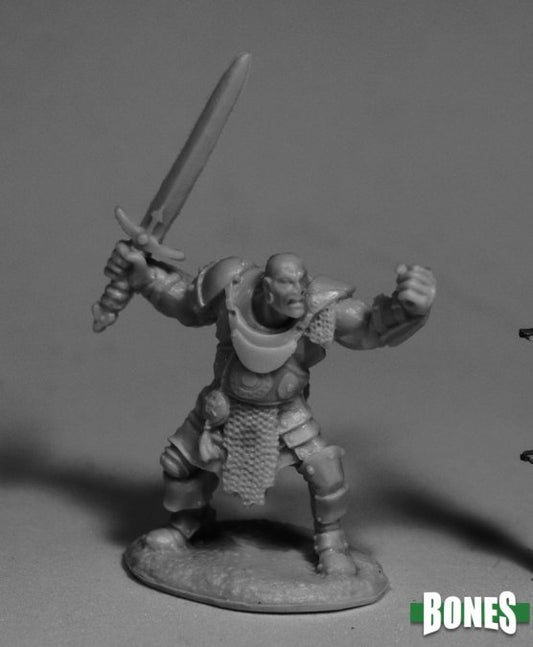 BANDIT BULLY- HUMAN FIGHTER BANDIT BULLY