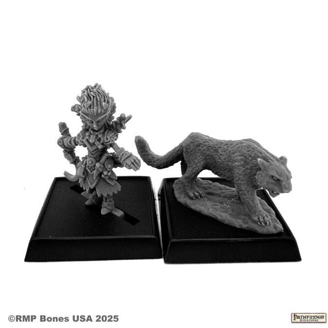 LINI AND DROOGAMI, ICONIC GNOME DRUID