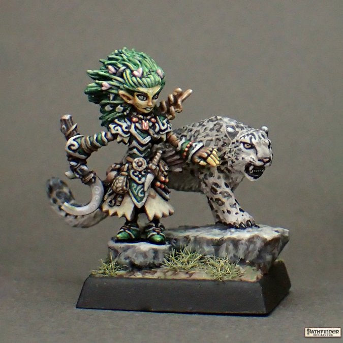 LINI AND DROOGAMI, ICONIC GNOME DRUID