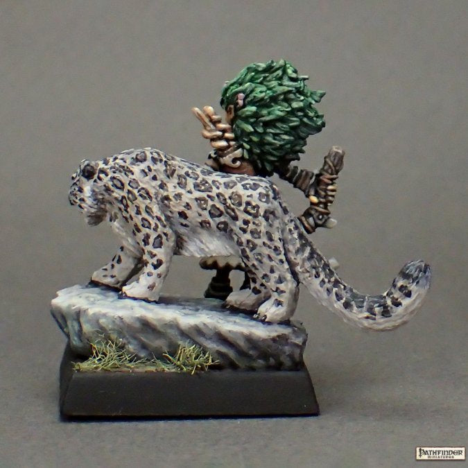 LINI AND DROOGAMI, ICONIC GNOME DRUID