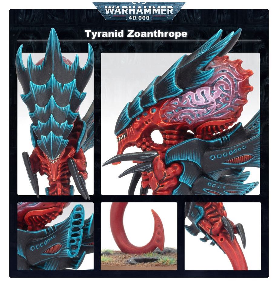 Zoanthropes