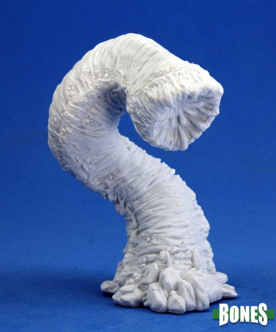 GREAT WORM