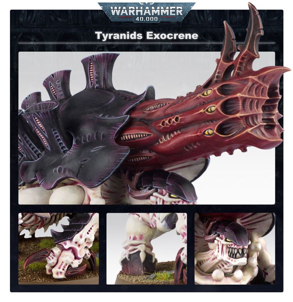 Exocrine