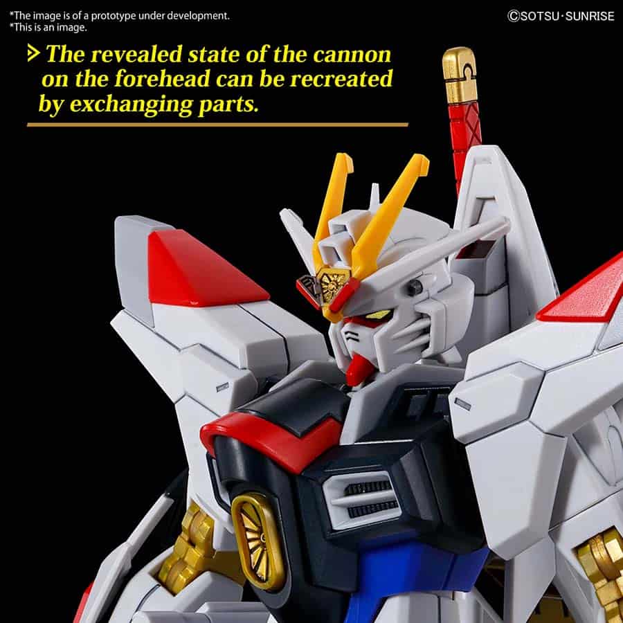 BANDAI HOBBY HGCE: GUNDAM SEED FREEDOM: MIGHTY STRIKE FREEDOM GUNDAM (1:144) (MODEL 250) (GUNPLA MODEL KIT)
