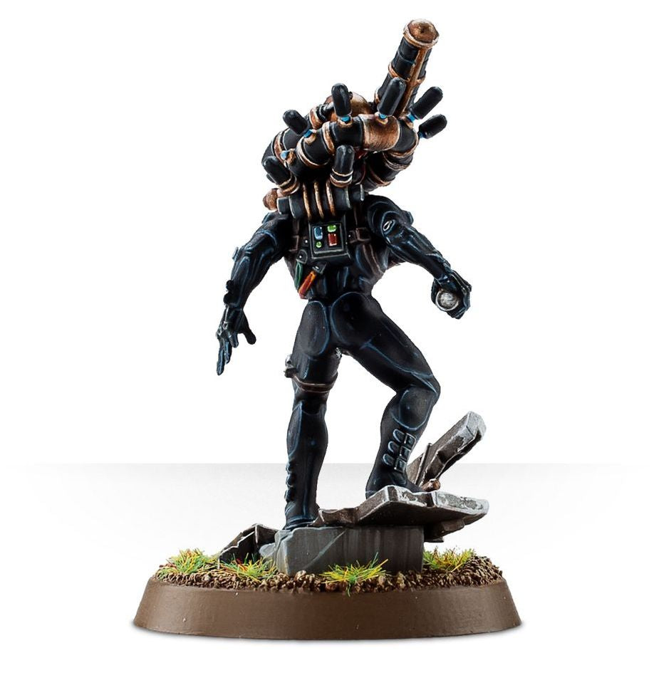 OFFICIO ASSASSINORUM CULEXUS ASSASSIN