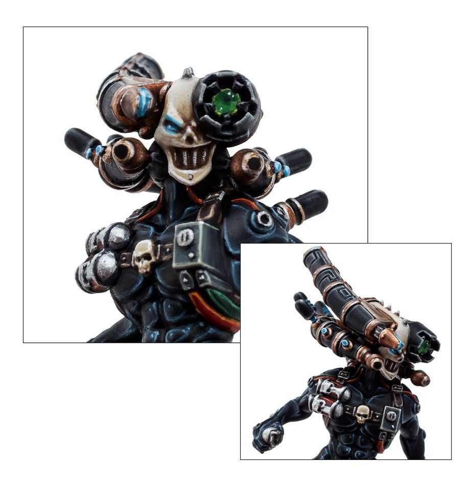 OFFICIO ASSASSINORUM CULEXUS ASSASSIN
