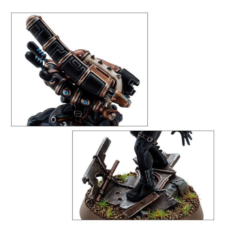 OFFICIO ASSASSINORUM CULEXUS ASSASSIN