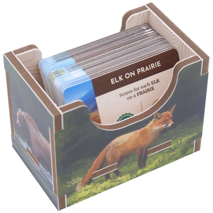 Box Insert: Color: Cascadia